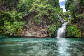 Congrès de la Société de Pneumologie de l’Océan Indien SPOI. Ile de la Réunion 2016