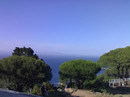 Vème Congrès de l'AFMAPATH Tanger 2007 