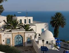 XVème Congrès de la Fédération Maghrébine des Maladies Respiratoires. Tunis 2013