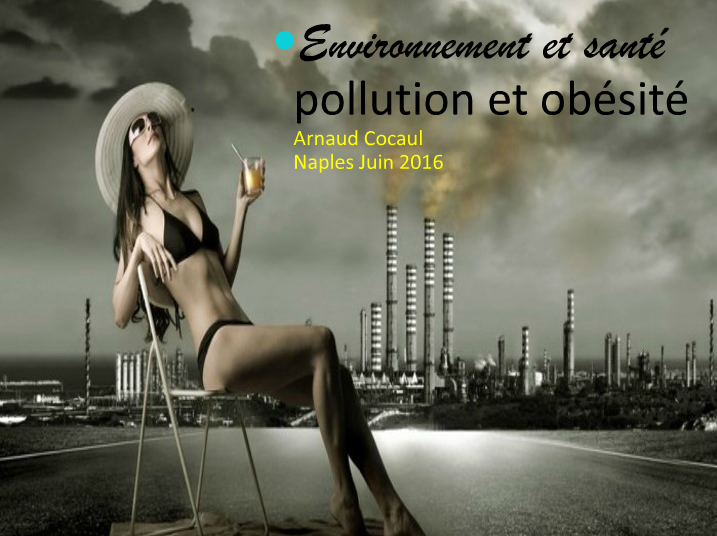 Pollution et obésité. Arnaud Cocaul